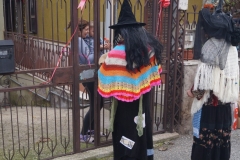 DSC07134