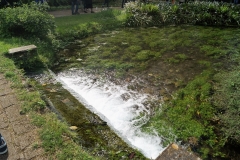 DSC00504