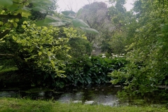 DSC00505