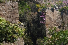 DSC00570